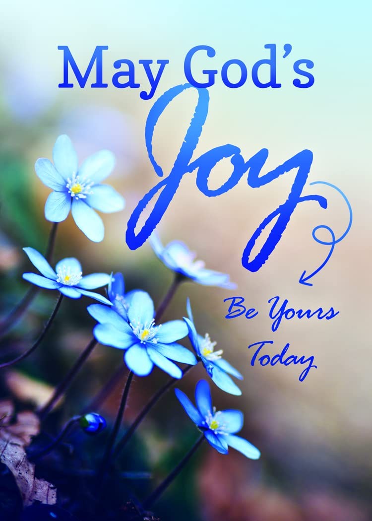Lift Your Spirits – NIV Scripture Greeting Cards – 12 Count (Pack of 1), blue