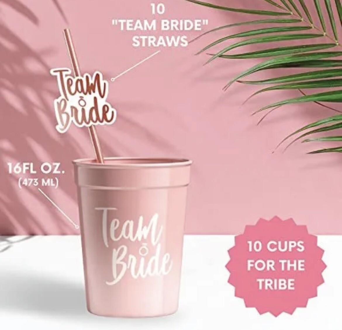 Bachelorette Cups Bride Straw Set Bachelorette Straws with Bride Cup & Brid NEW