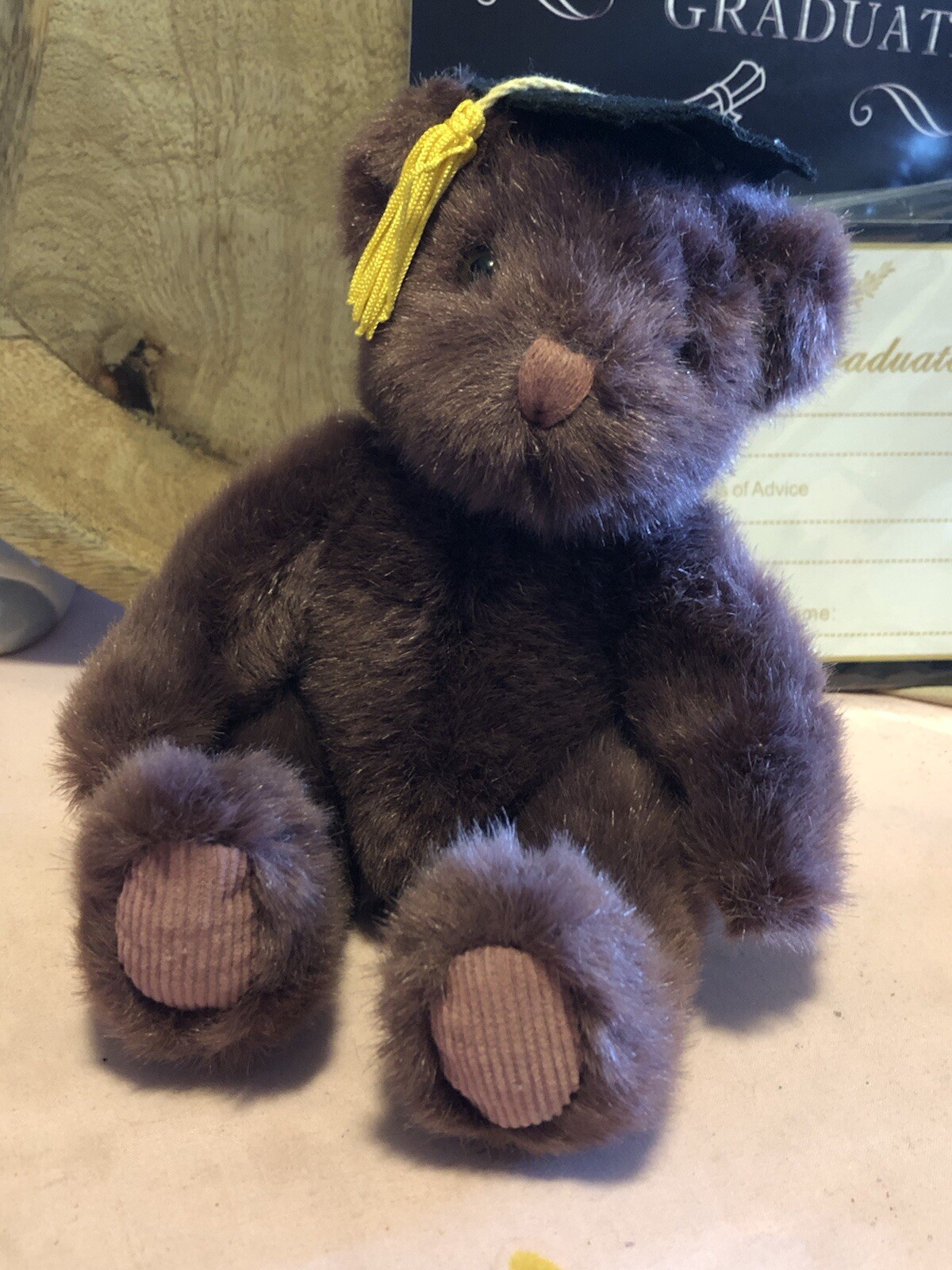 Graduation Gift Bear, Cake Topper/decor, Set Of 32 Advise For The Graduate Cards