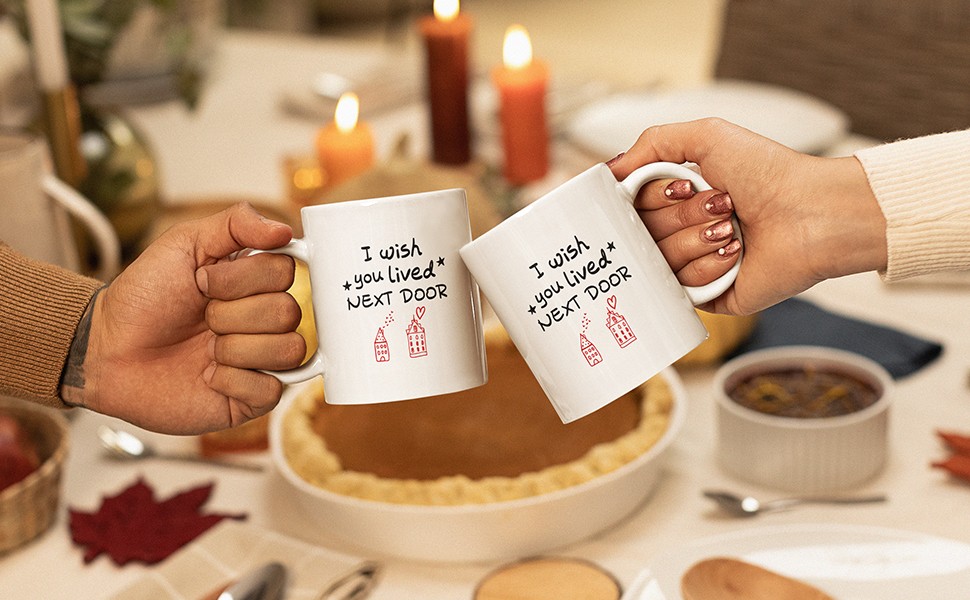 Bestie Gifts for Women: Unique Friendship Gifts – ‘I Wish You Lived Next Door’