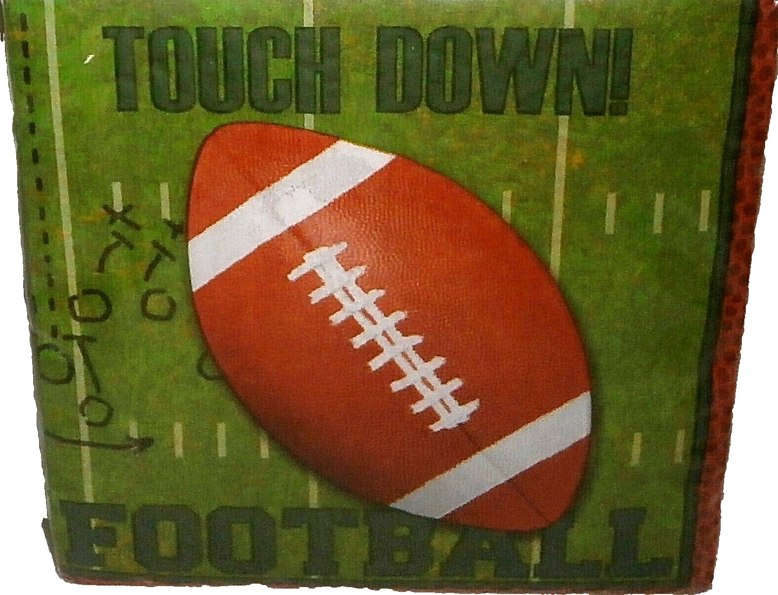 Football Luncheon Napkins ~ 20 Ct ~ 2-Ply ~ Touchdown Football
