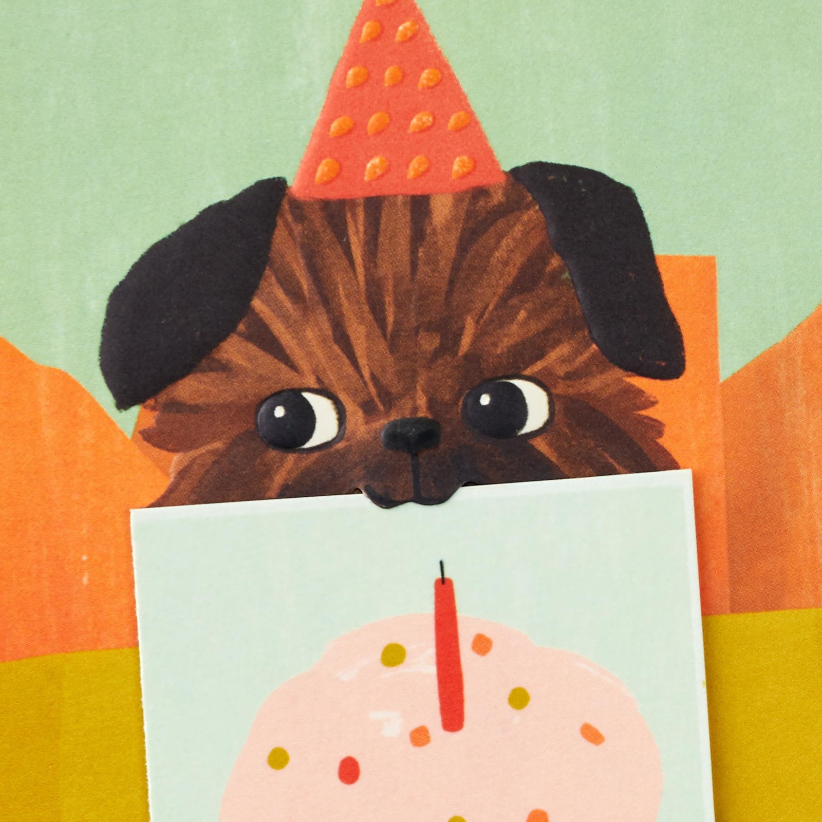 Hallmark Birthday Card (Puppy in a Party Hat) 5×7.2 inches, Green