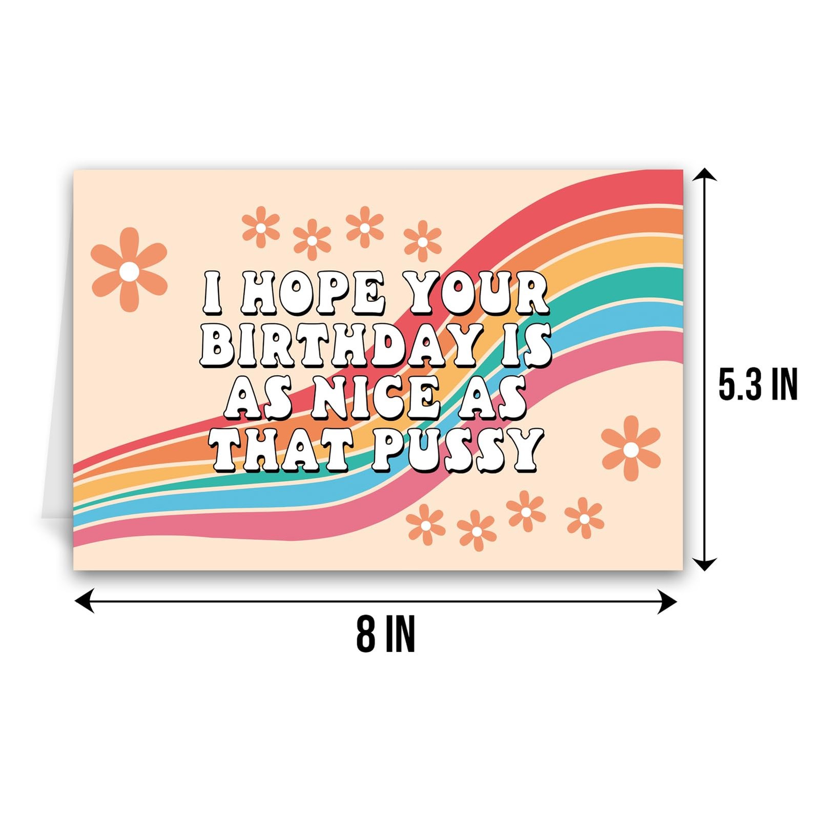 Qiliji Funny Birthday Card for Wife 8 inches x 5.3 inches, Dirty