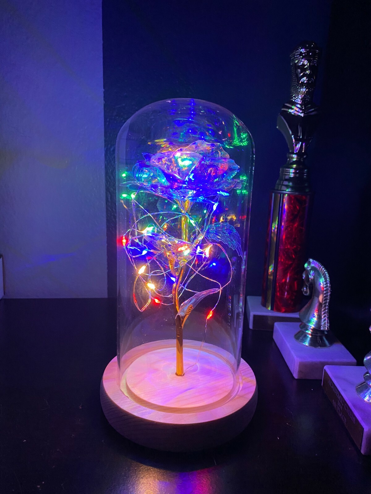 Galaxy Rose Flower gift LED light Beauty and the Beast rose Kit for Mom wife GF