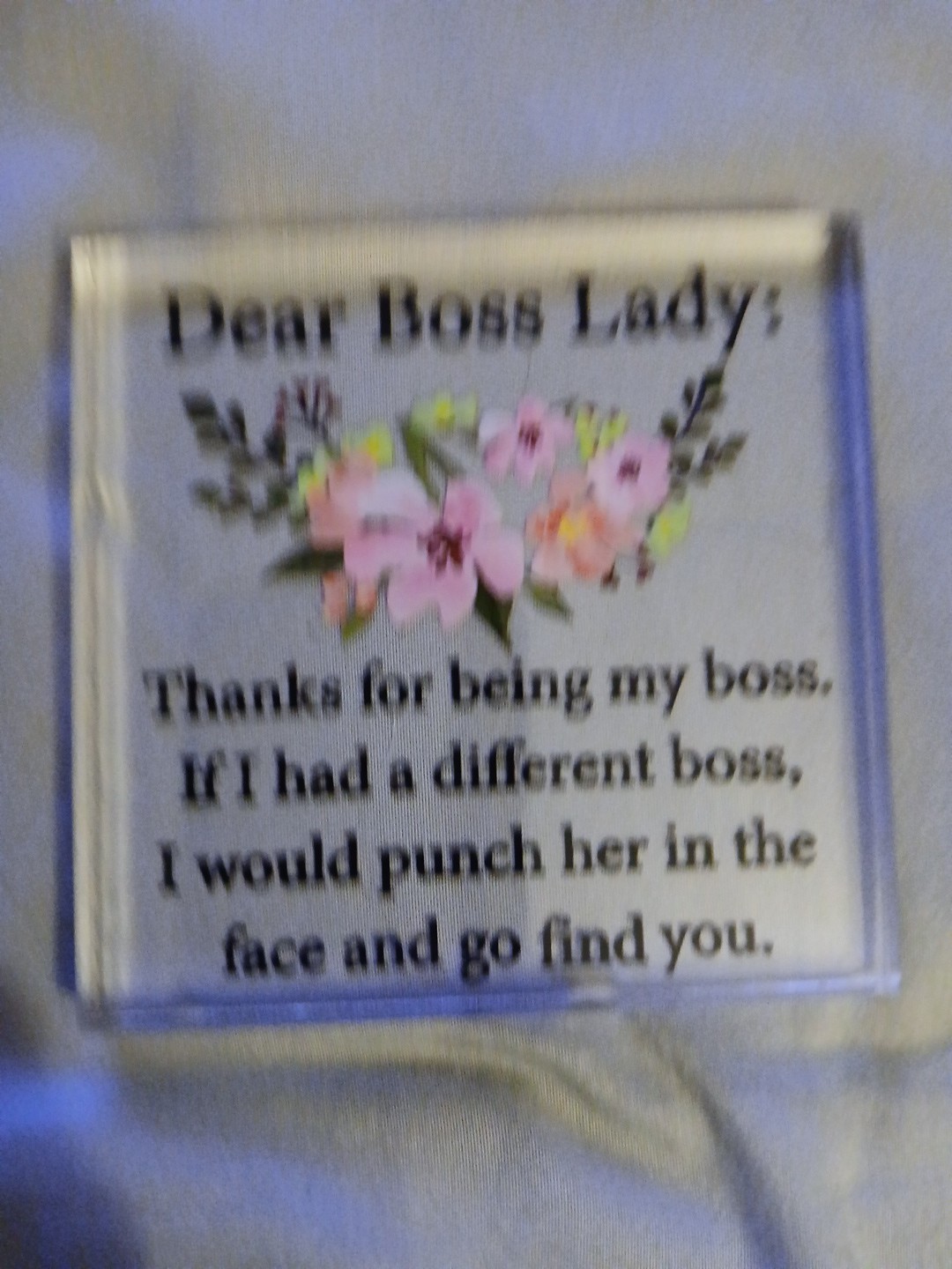 Dear Boss Lady Thank You For Being My Boss plaque sign funny novelty gift 4″