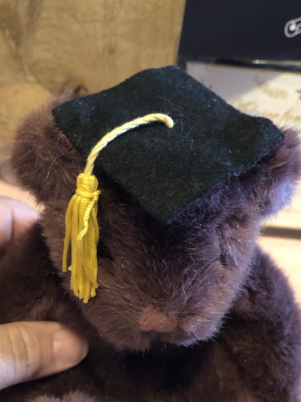 Graduation Gift Bear, Cake Topper/decor, Set Of 32 Advise For The Graduate Cards