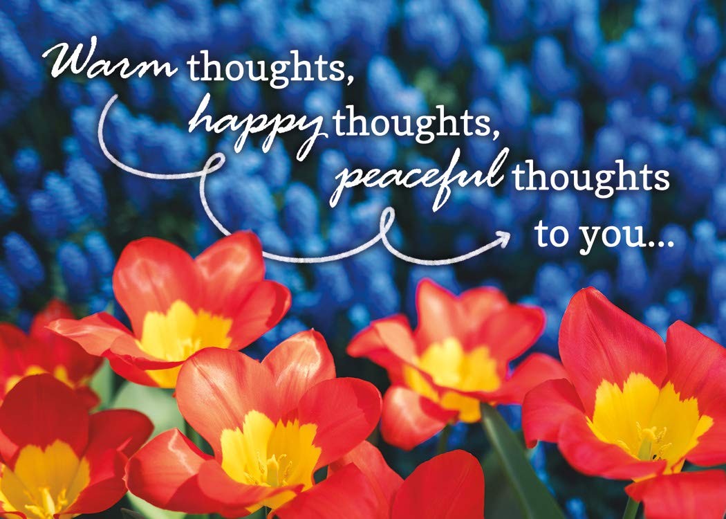 Lift Your Spirits – NIV Scripture Greeting Cards – 12 Count (Pack of 1), blue