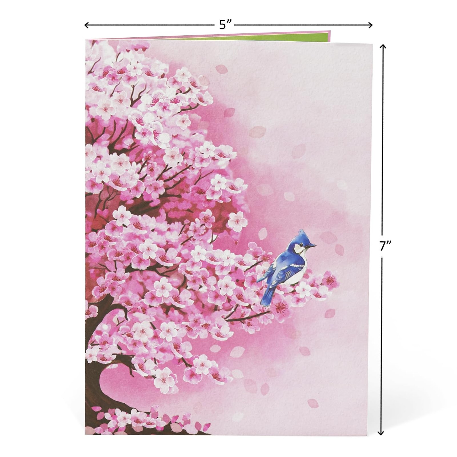 POPWOW Bonsai Cherry Pop Up Cards, Blue Bird, 3D Greeting 5×7″,