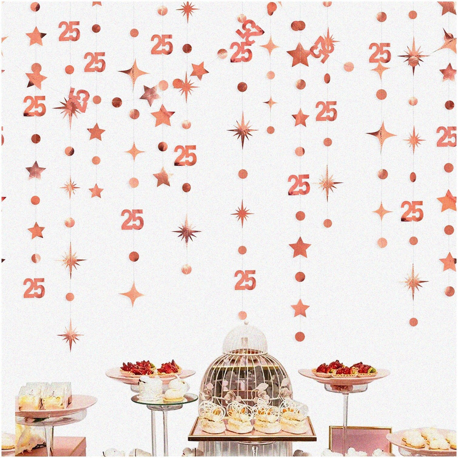 Silver and Rose Gold 25th Birthday Decorations with Twinkle Stars
