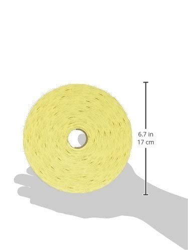 Raffle Tickets – 8,000 Total in 4 Rolls (2000 Tickets Each) – Assorted Colors