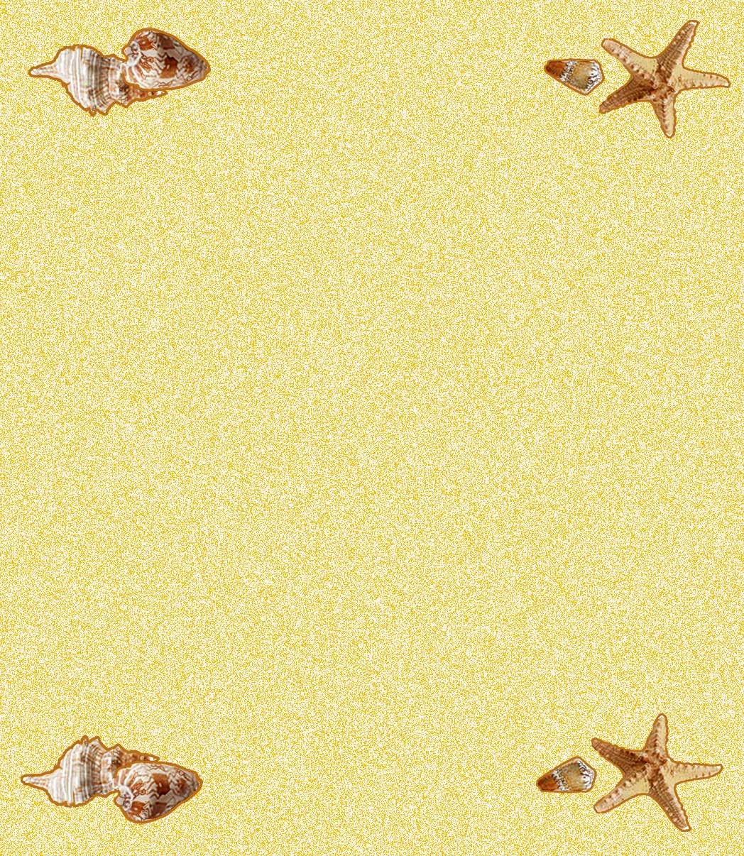 Beach Shell Place Cards – 25 Place Cards – Beach Tropical Tabel Tents – 77034