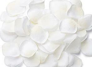 White Rose Petals (1006-698)