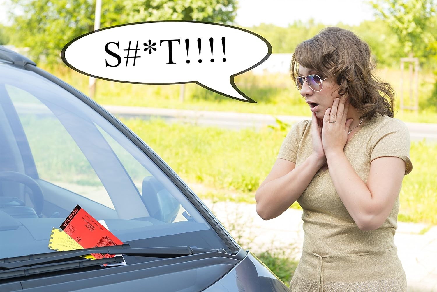 25 TOTAL FAKE – POLICE – COP PARKING TICKETS!