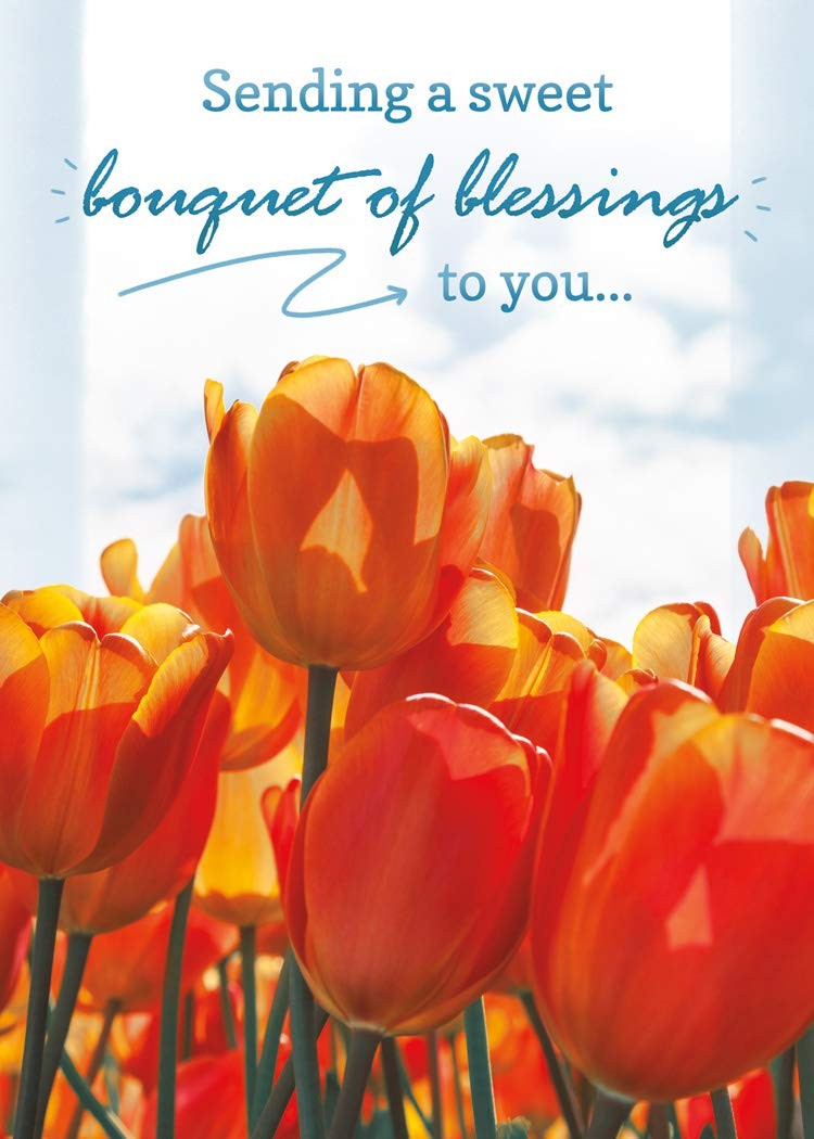 Lift Your Spirits – NIV Scripture Greeting Cards – 12 Count (Pack of 1), blue