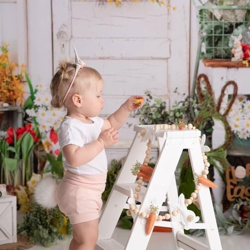 Easter Decor Rabbit Carrot Wreath Easter Banner Decoration Home Decor Ornament