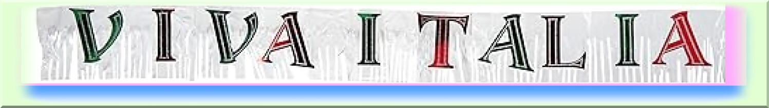 Festive Celebration Banner with Metallic Fringe