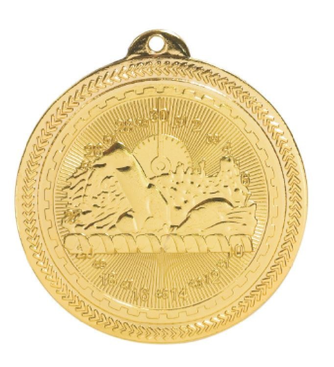 Swimming Medals Team Sport Award Trophy W/FREE Lanyard FREE SHIPPING BL216