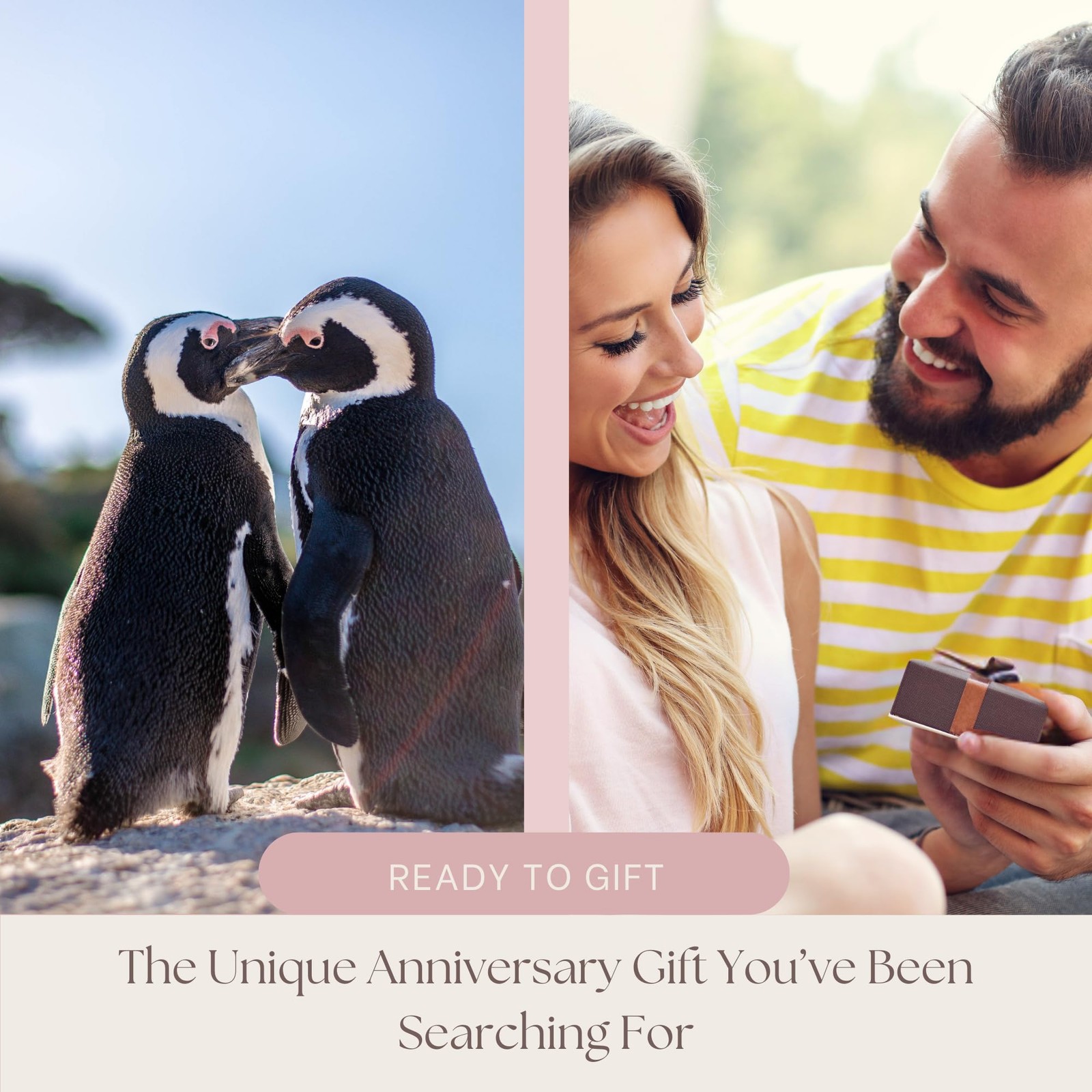 Wedding Anniversary Penguin Pebble 2 inches x 2 x 0.4 inches, Grey