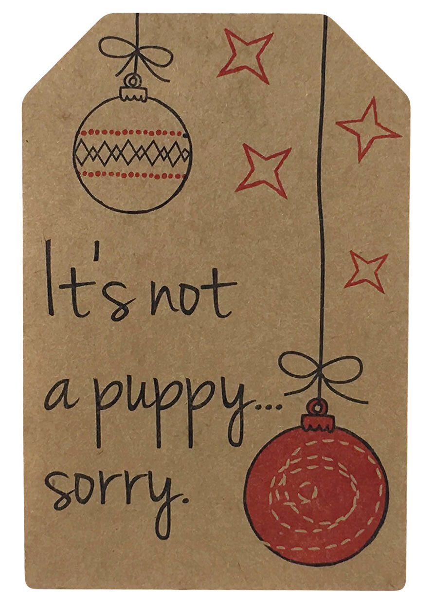 Natural Kraft Sarcastic Funny Christmas Gift Tags | 2 x 3″ Inch | 100 on a Roll