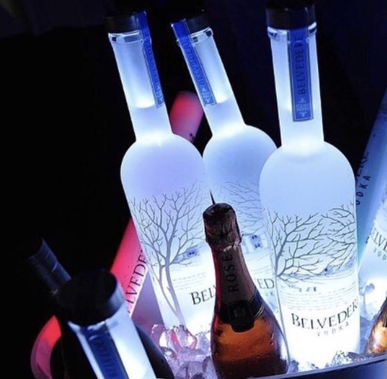 LED white Light Sticker Bottle glorifier bottle glow nightclub 50PACK