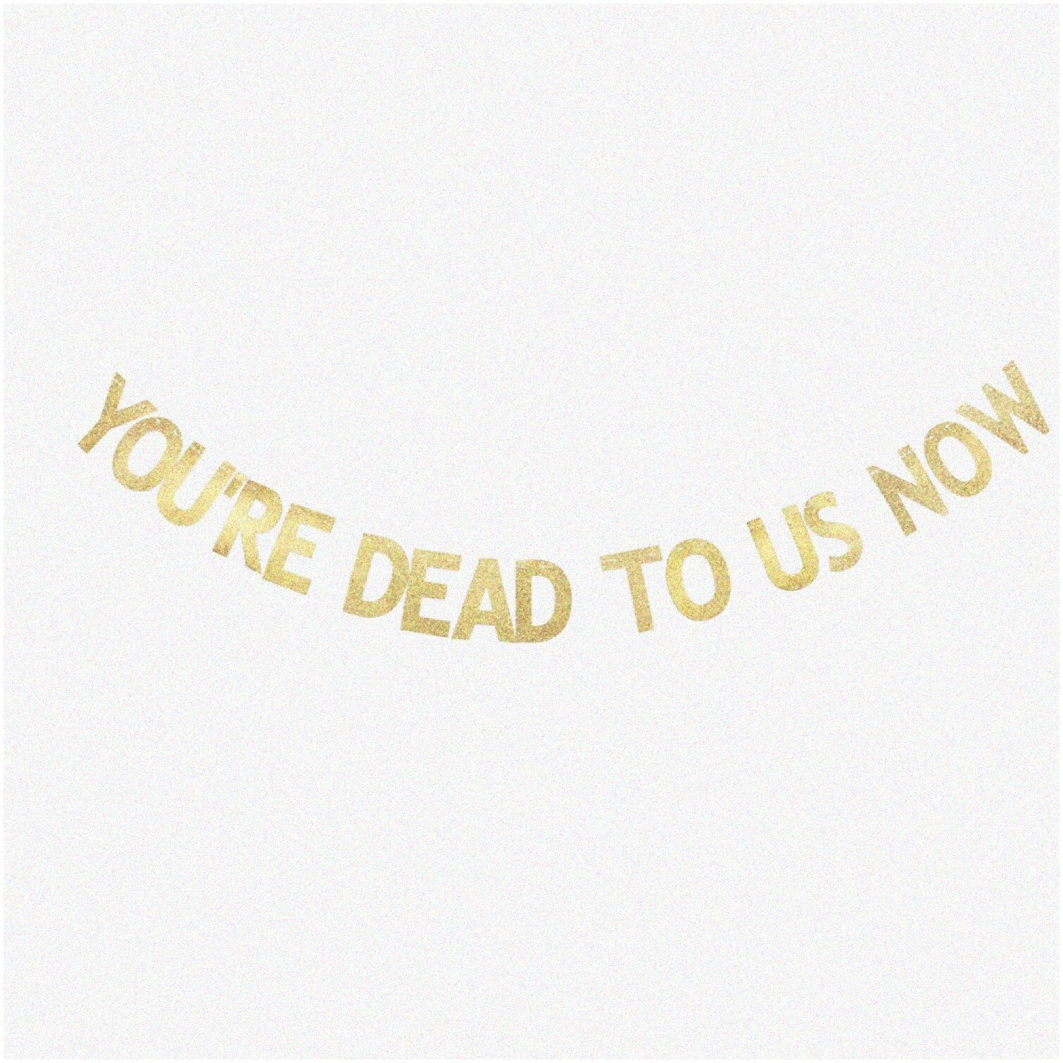 Farewell Party Decor with Glitter Photo Props and Banner