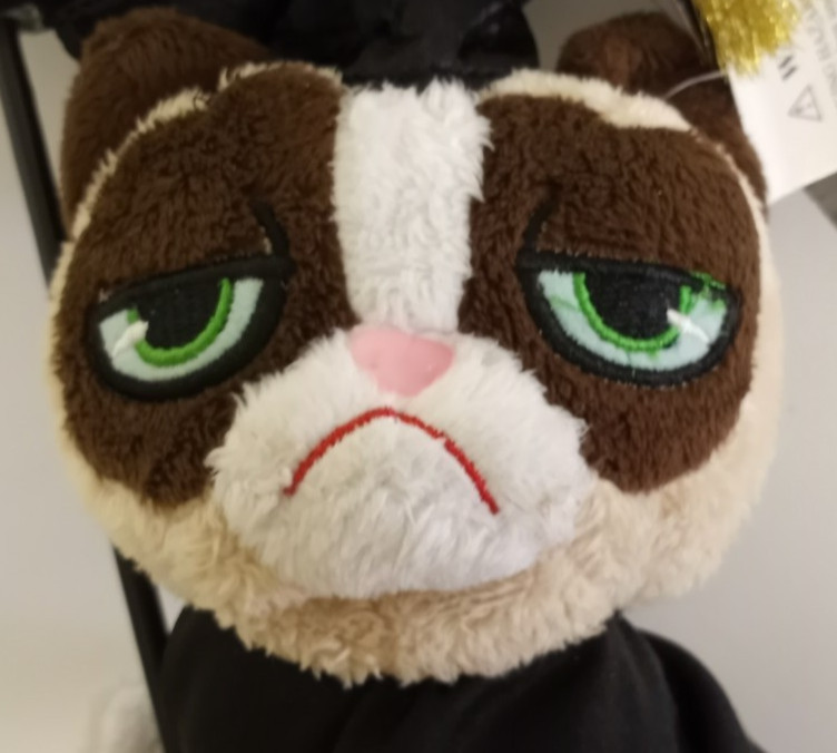 Grumpy Cat Plush Graduate Balloon Congrats Roll of Paper Funny Graduation Gift