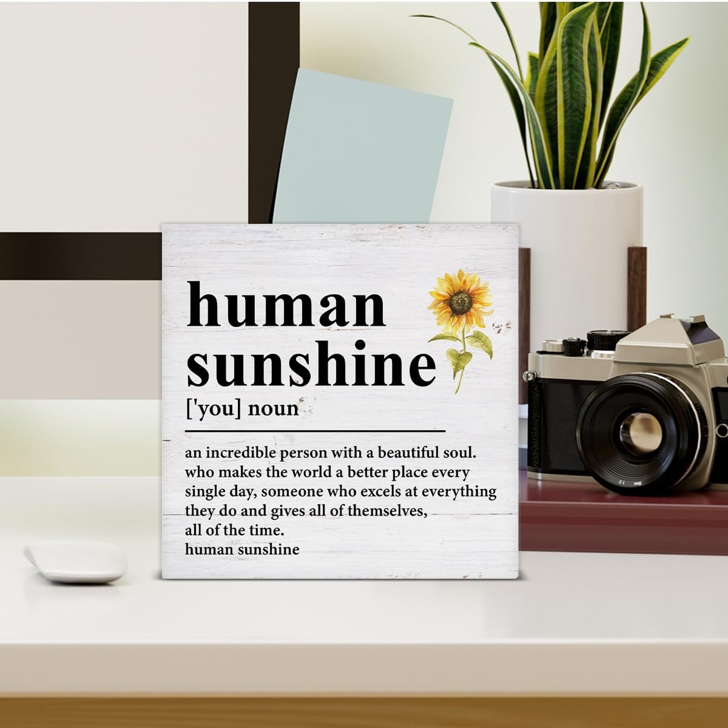 Sunshine Gifts Inspirational Thank You Gift for Teacher Coworker Nurse Mom Hu…