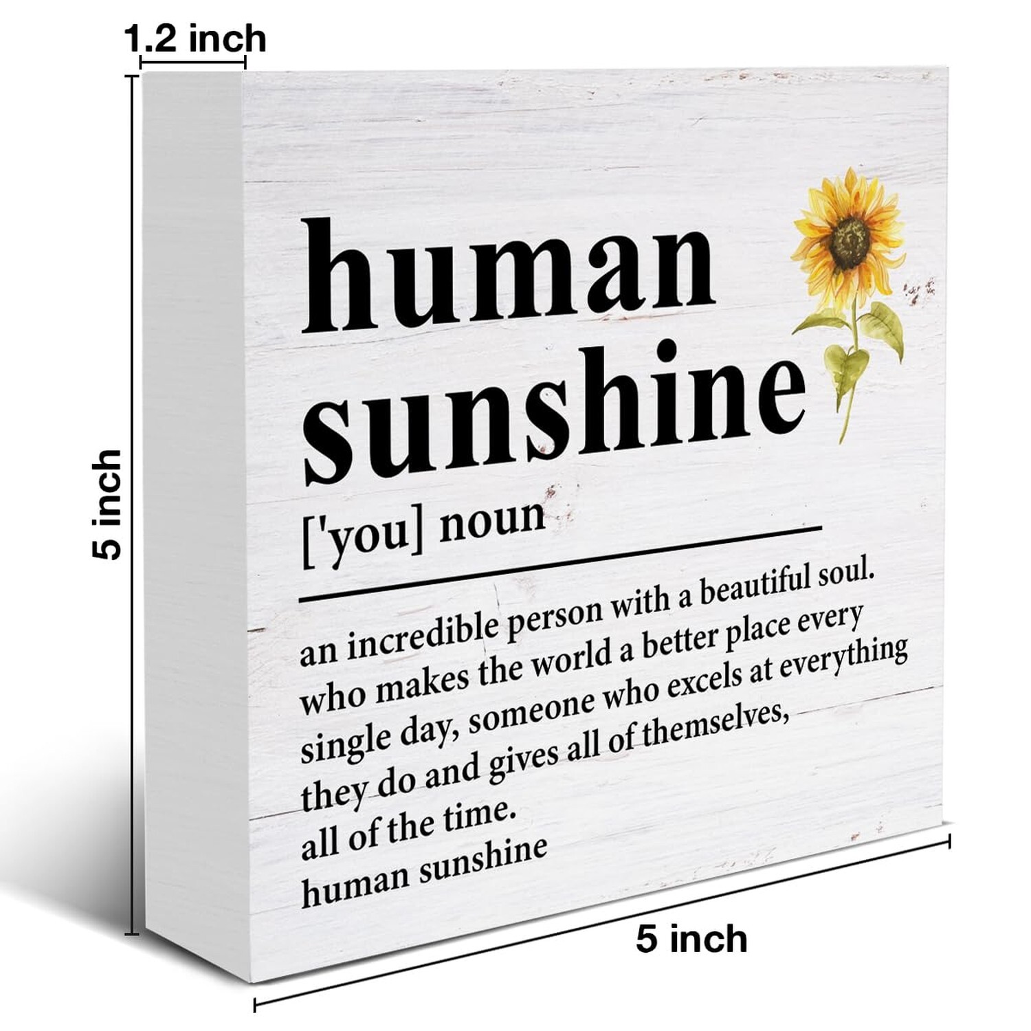 Sunshine Gifts Inspirational Thank You Gift for Teacher Coworker Nurse Mom Hu…