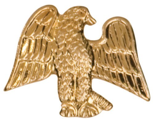Gold Finish Metal American Eagle Pin TIE TACK School Varsity Insignia Chenille