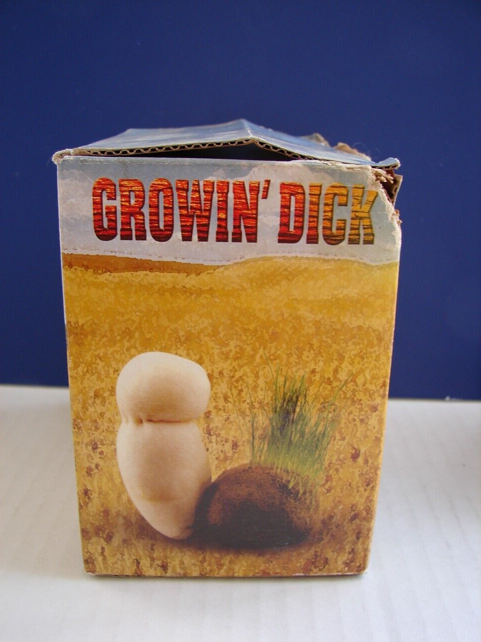 Novelty Funny GROW A PENIS HAIRY PRAIRE Adults Bachelor 2000 PIPEDREAM PRODUCTS