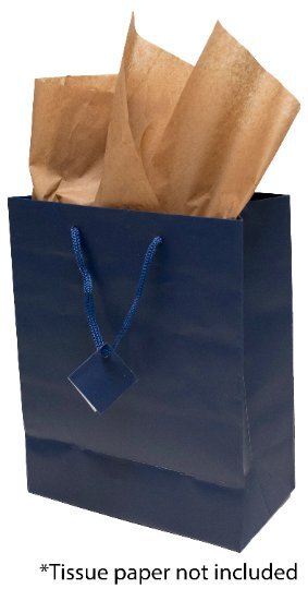 Novel Box Navy Blue Matte Laminated Euro Paper Gift Bags 8X4X10 (10 counts)