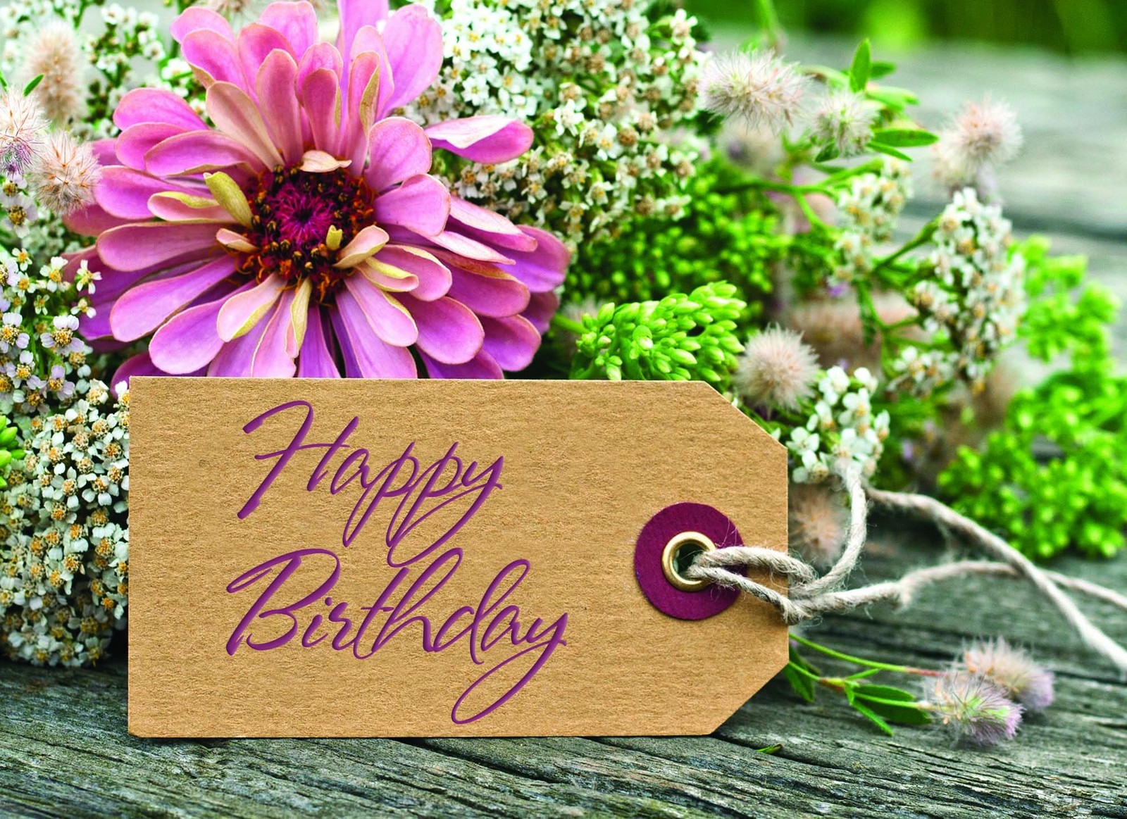 Crown Point Graphics Shared Blessings Floral Tags 12 Boxed Birthday Cards,…