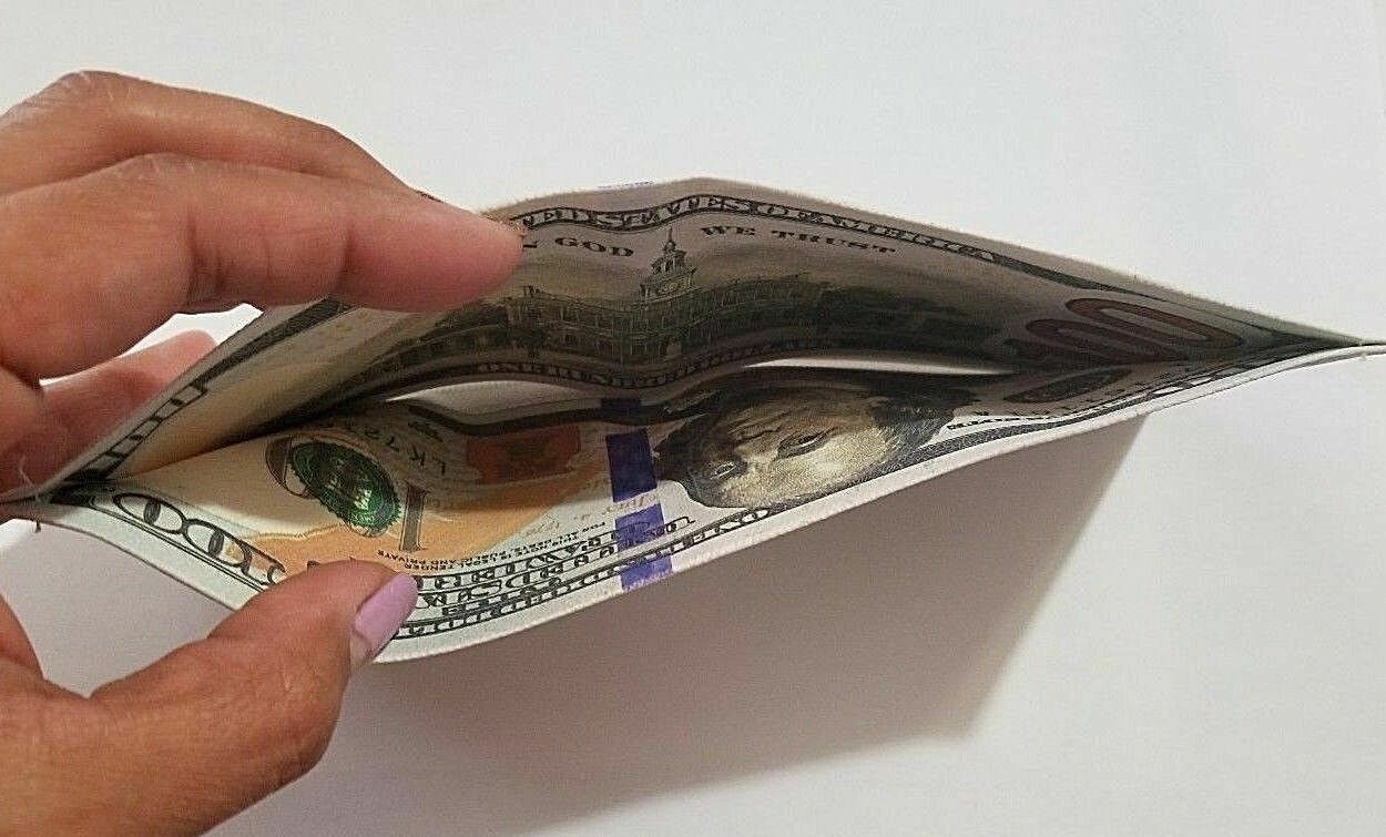 $100 Hundred Dollar Bill Wallet Money Thin Bi-Fold Card Holder – US SELLER