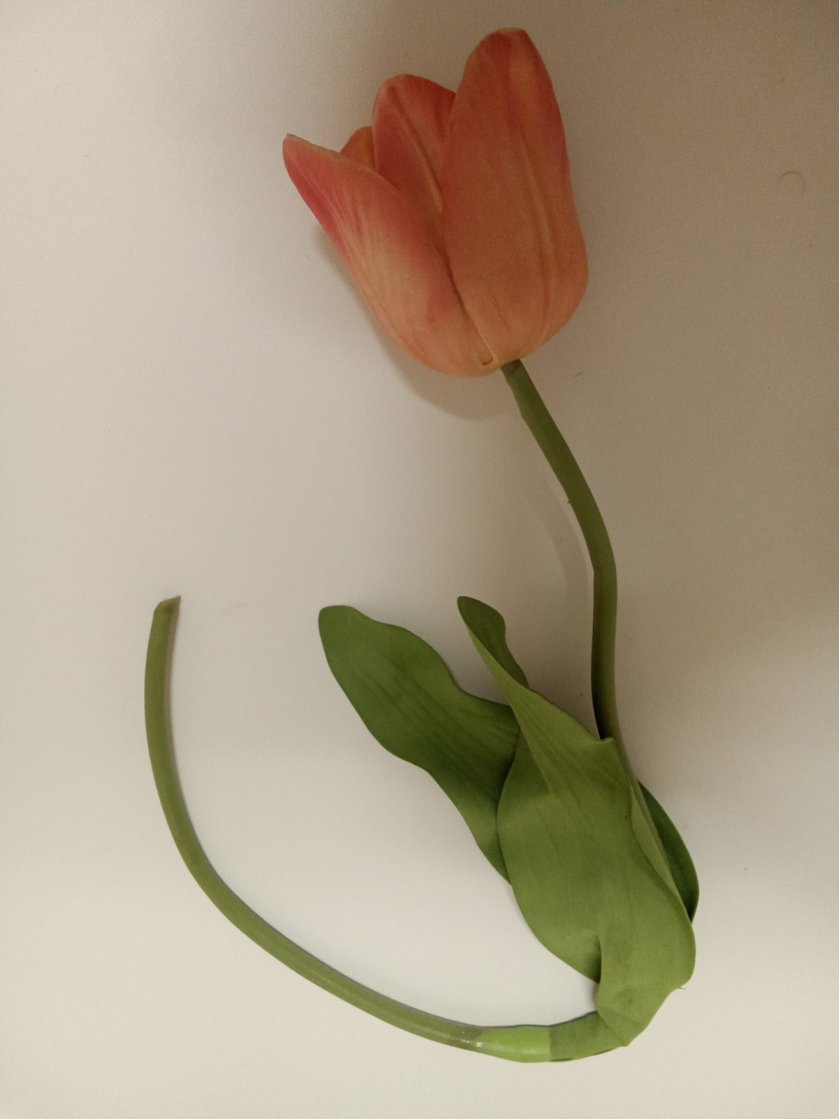 Single Foam Flower Artificial Tulip on Stem 3.5″ on 23″ green stem with leaves