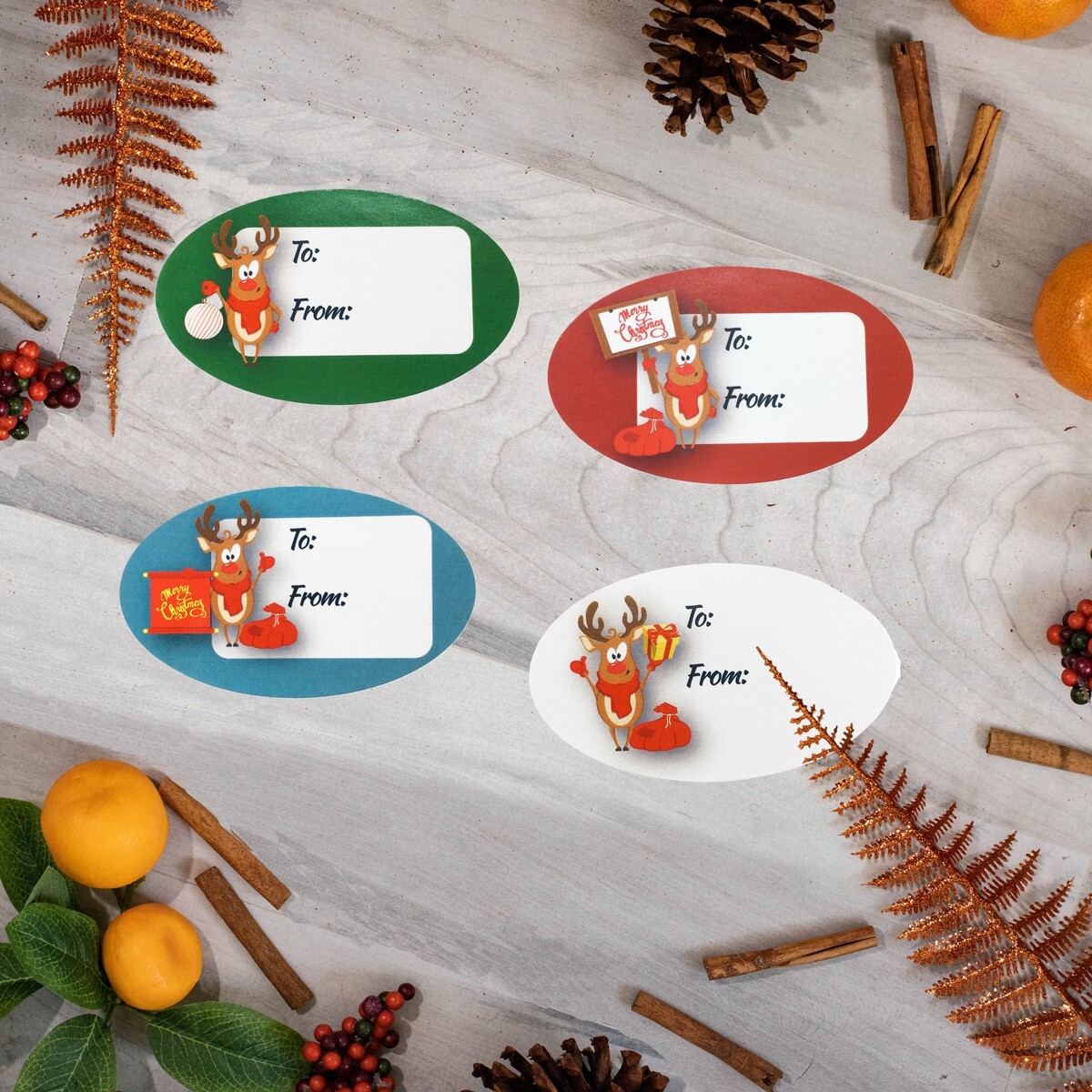 Rudolph Reindeer 4 Designs Gift Present Tags, 1.5 x 2.5 Inches, 100 Labels Total