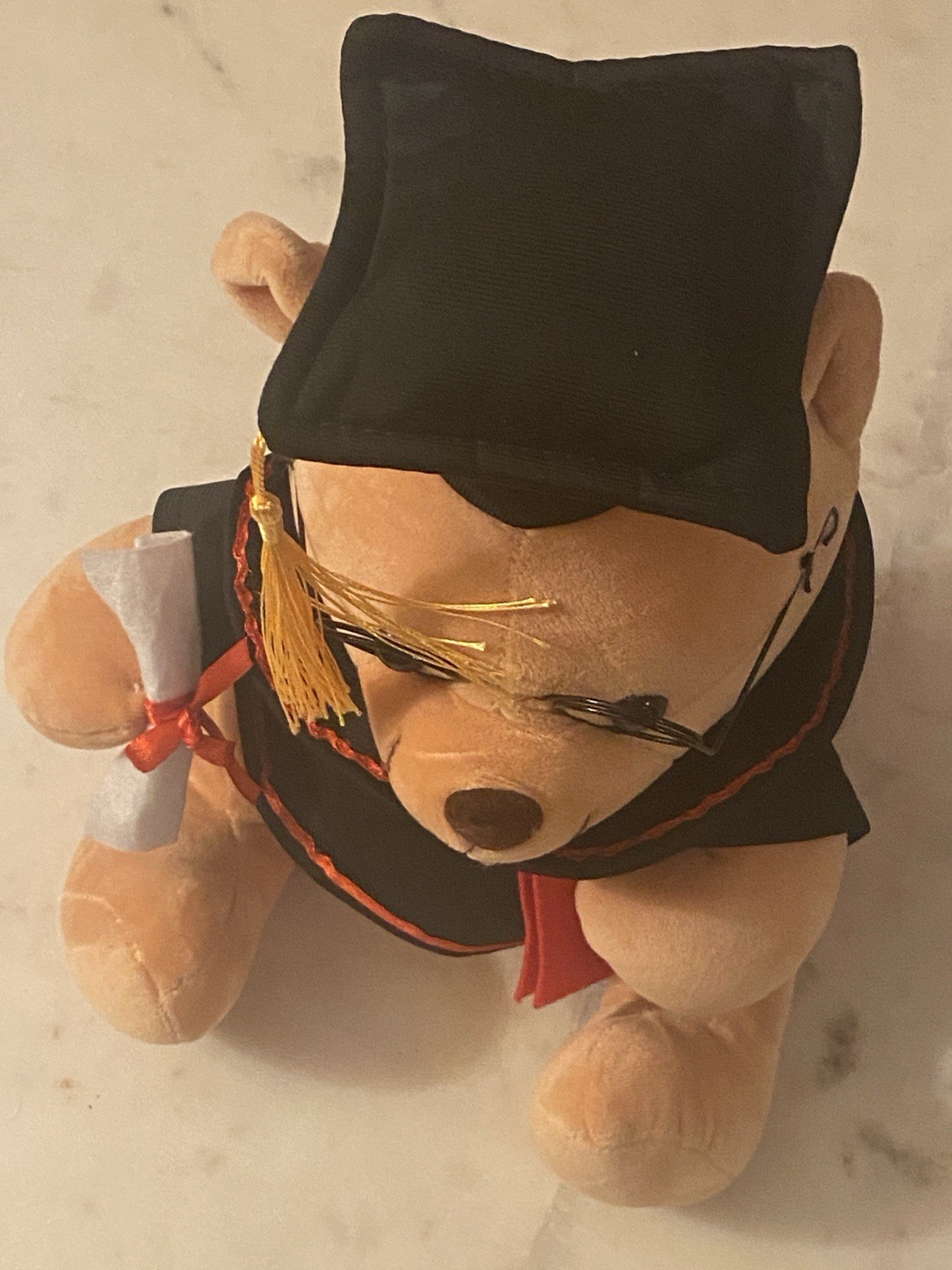 Graduation Teddy Bear Gift Keepsake School College Memories Soft Toy Present