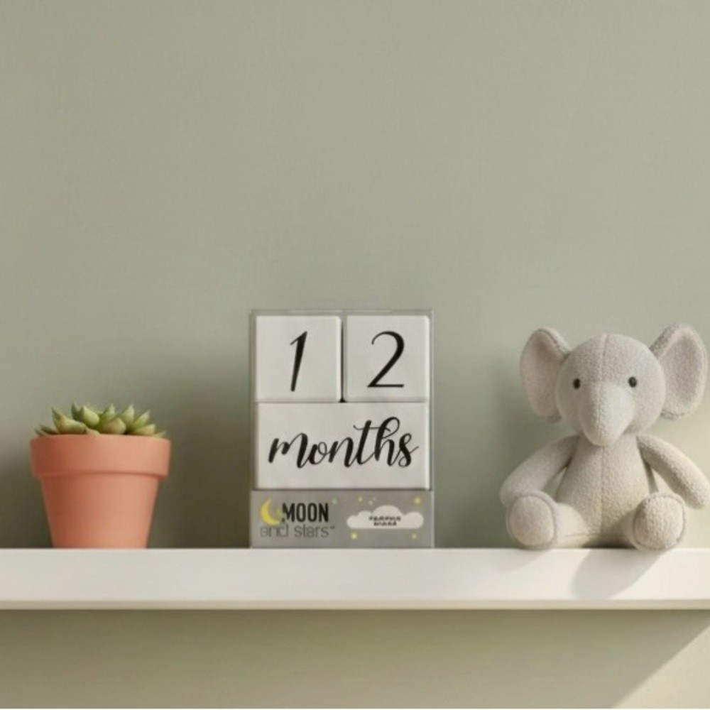 NIB Moon and Stars Wooden Baby Milestone Blocks – Nursery Photo Prop