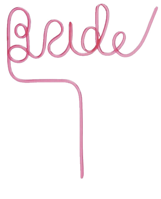 Lot of 11 Pink Bride Straw Bridal Shower Bachelorette Party Reusable