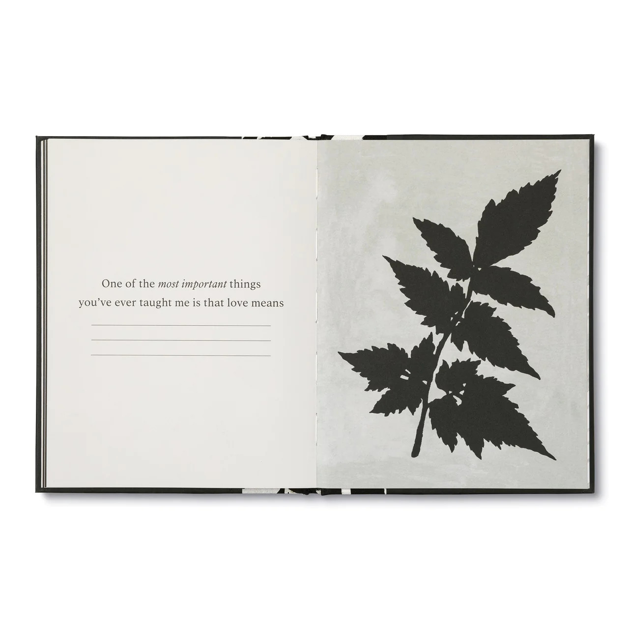 Dad, More Than You Know – Gift Book