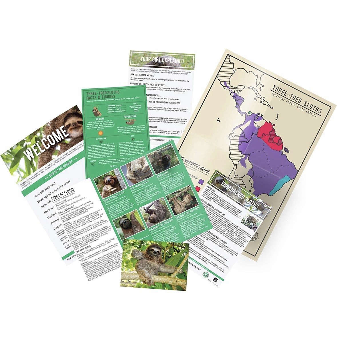 Adopt A Sloth Gift Box Tin Gift Republic Pet Animal NEW