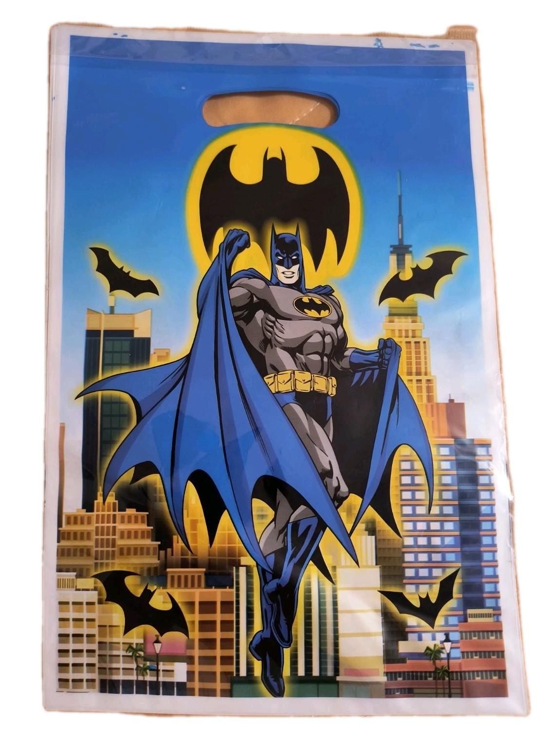 DC Comics Batman Birthday Plastic Loot Bags 10 count New! Free Shipping!