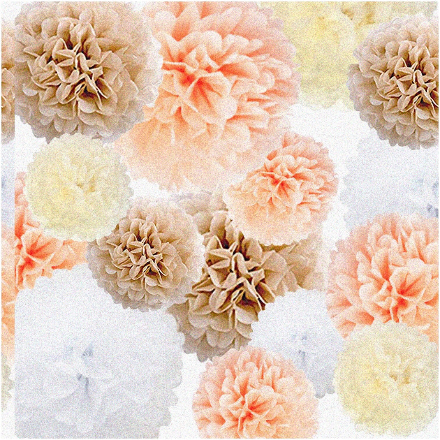 Set of 22 Champagne, Ivory, White, Peach Tissue Paper Pom Poms