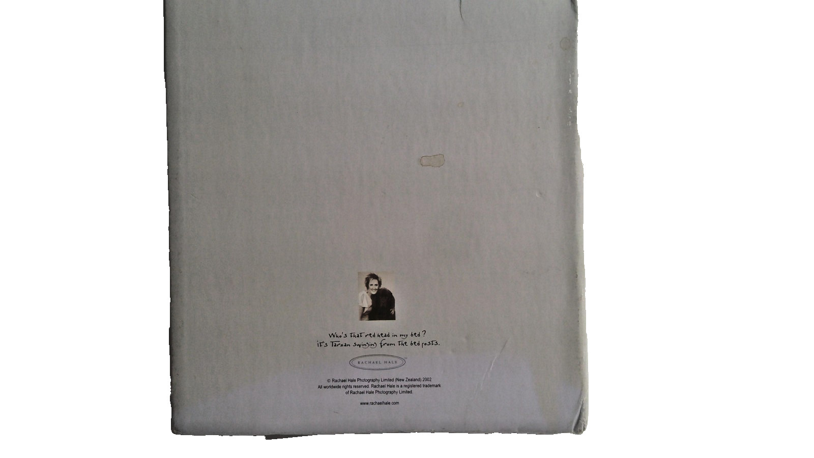 Orange Tabby Kitten Cat Photo Album 2-Ring Binder Hardcover with Sleeves Gift