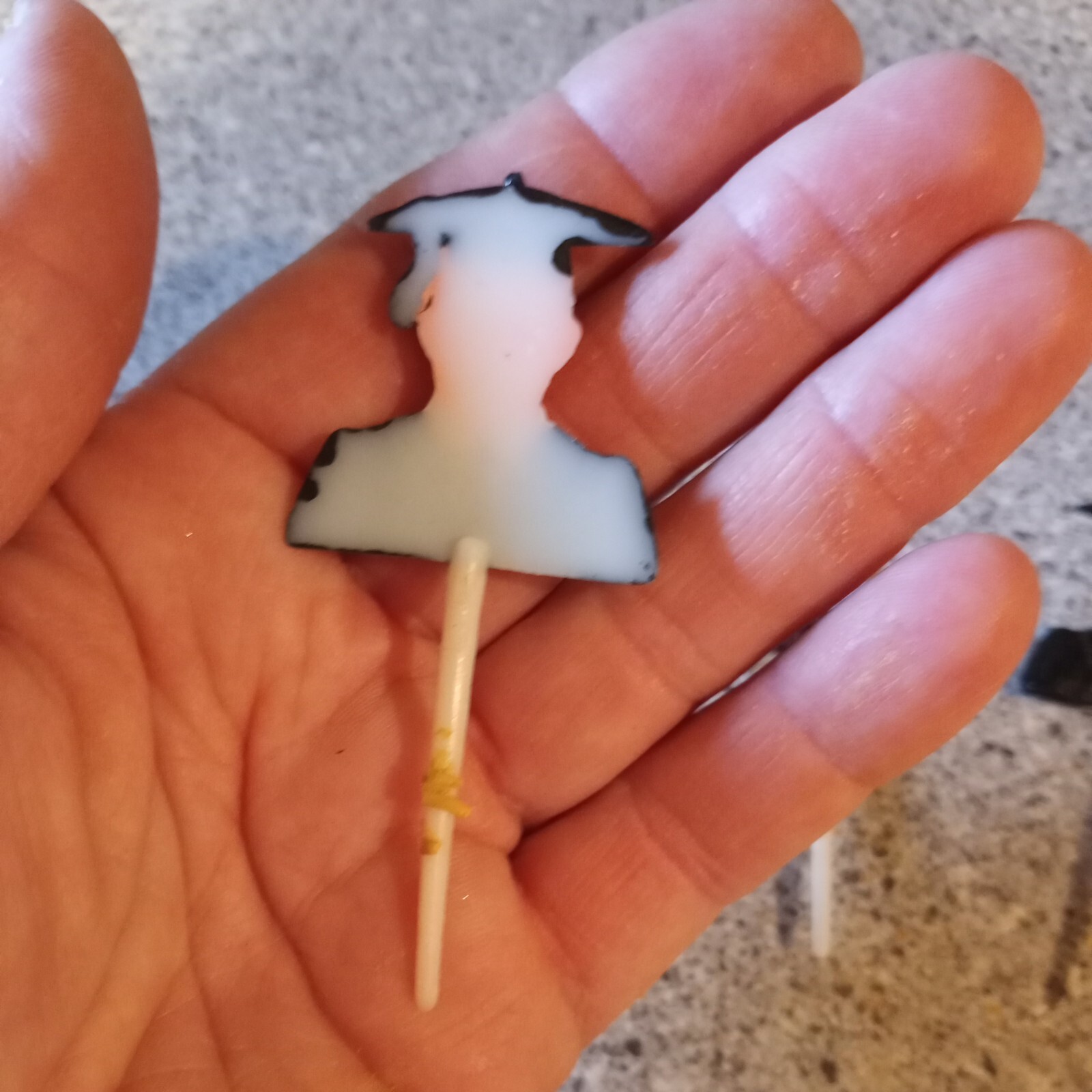 Vintage Graduation Cupcake Picks Cake Toppers Man Male Robe Boy  