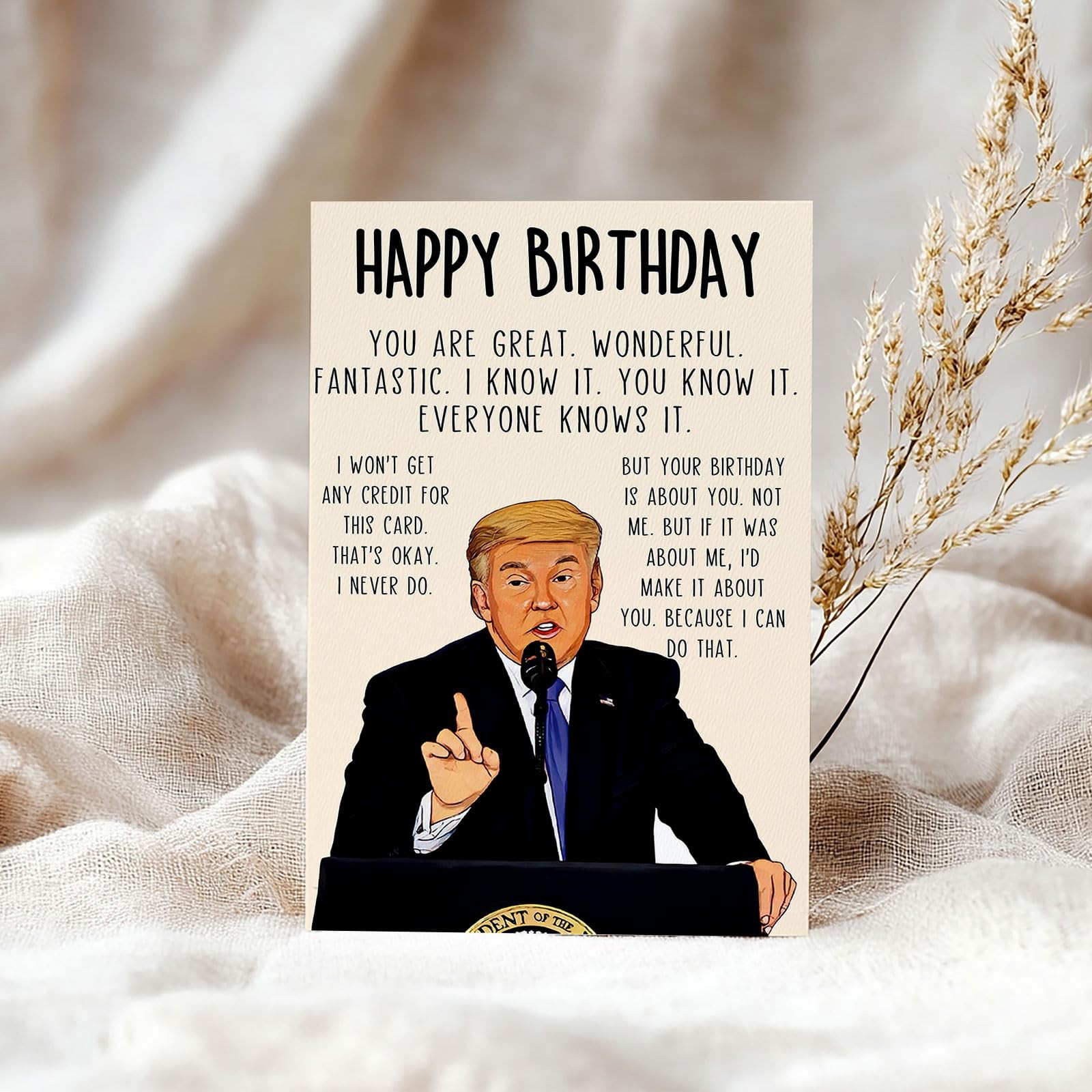 ACHICGIRL Funny Birthday Card for Women Men, Humorous ACH-032, ACH-032