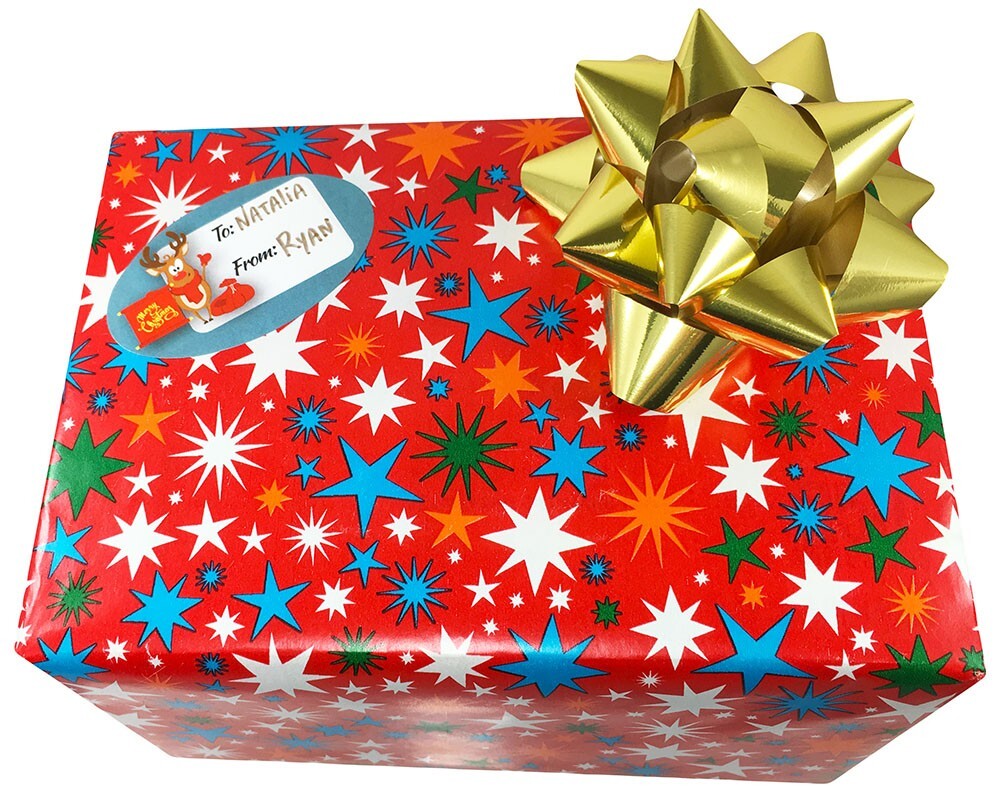 Rudolph Reindeer 4 Designs Gift Present Tags, 1.5 x 2.5 Inches, 100 Labels Total
