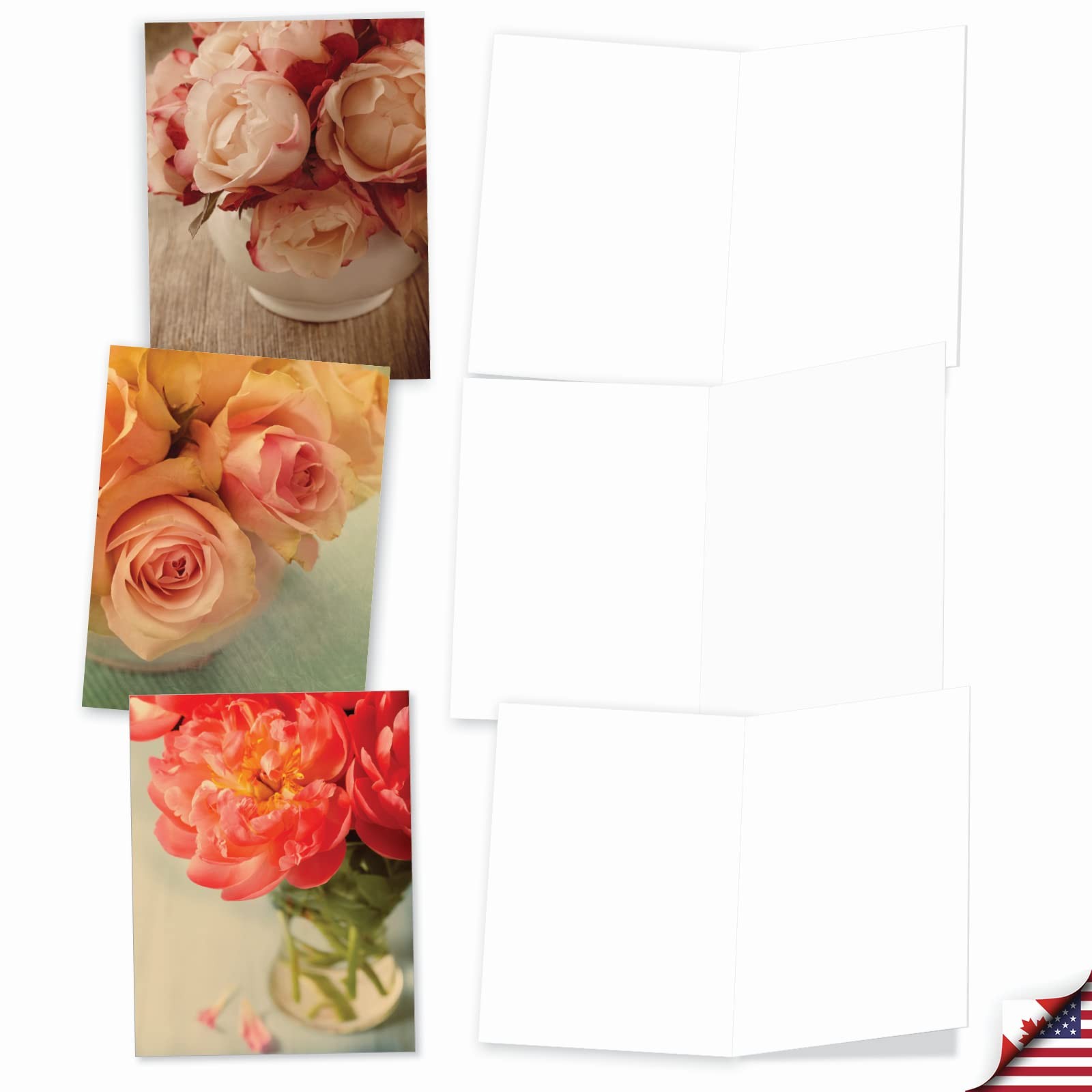 Best Card Co Blank Note 10 Assorted Cards (M6553OCB), Multicolor