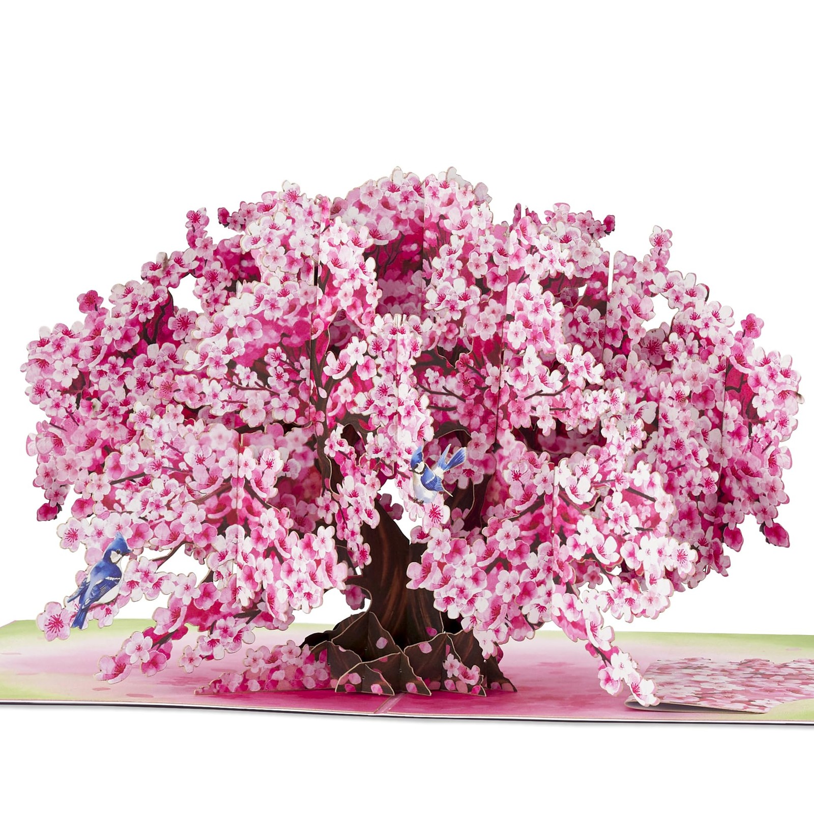 POPWOW Bonsai Cherry Pop Up Cards, Blue Bird, 3D Greeting 5×7″,