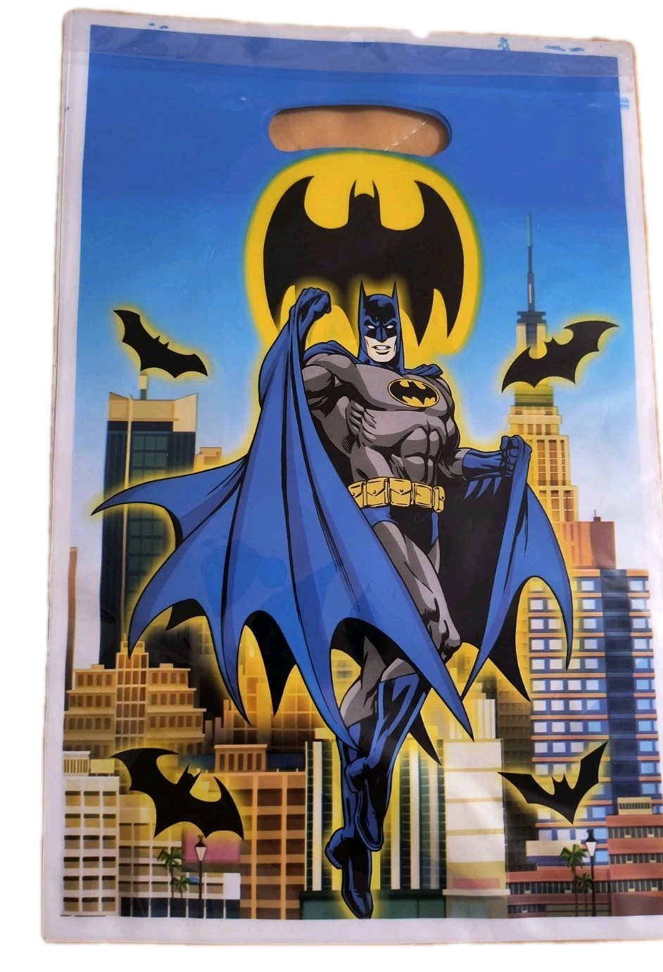 DC Comics Batman Birthday Plastic Loot Bags 10 count New! Free Shipping!