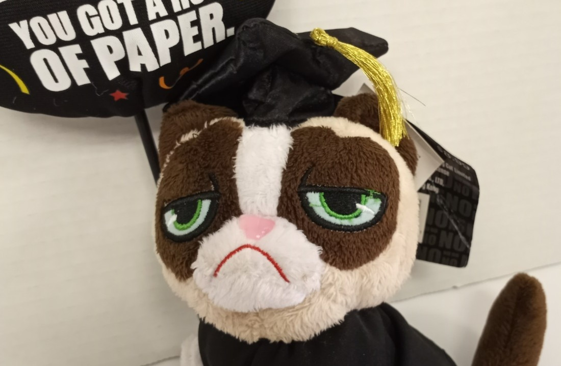 Grumpy Cat Plush Graduate Balloon Congrats Roll of Paper Funny Graduation Gift